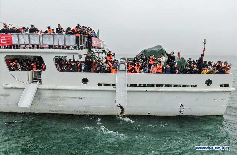 CHINA-DALIAN-SEAL-RELEASE (CN)
