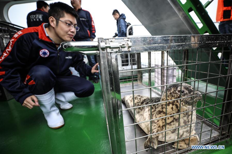 CHINA-DALIAN-SEAL-RELEASE (CN)