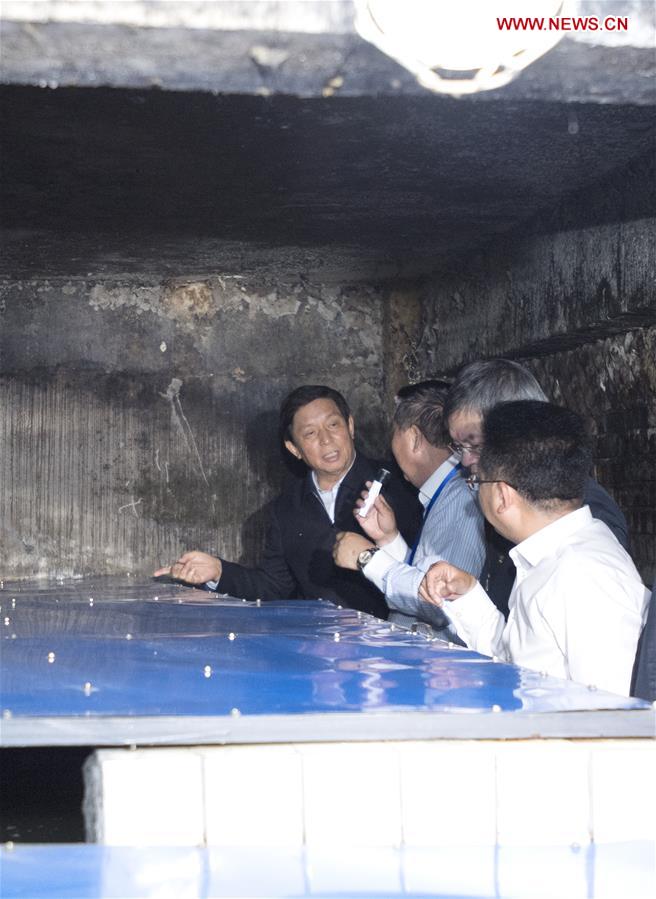 CHINA-SICHUAN-CHENGDU-LI ZHANSHU-INSPECTION (CN)