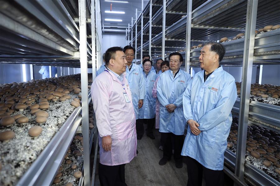 CHINA-HENAN-WANG YANG-INSPECTION (CN)