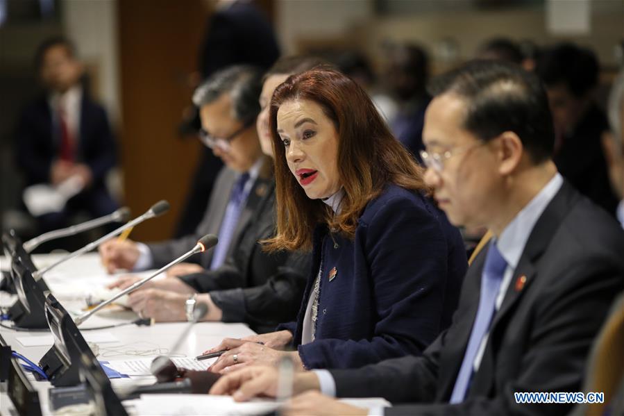 UN-HIGH-LEVEL MEETING-CHINA-JUNCAO TECHNOLOGY