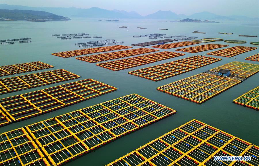 CHINA-FUJIAN-LIANJIANG-ABALONE BREEDING (CN)