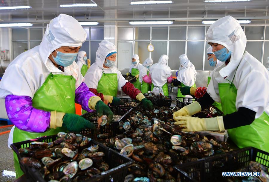 CHINA-FUJIAN-LIANJIANG-ABALONE BREEDING (CN)