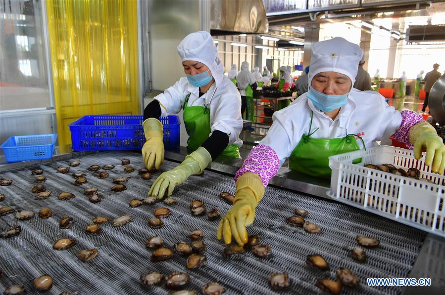 CHINA-FUJIAN-LIANJIANG-ABALONE BREEDING (CN)