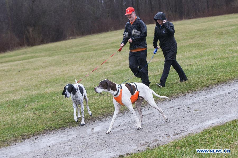 CANADA-ONTARIO-OAKVILLE-EASTER EGG HUNT FOR DOGS
