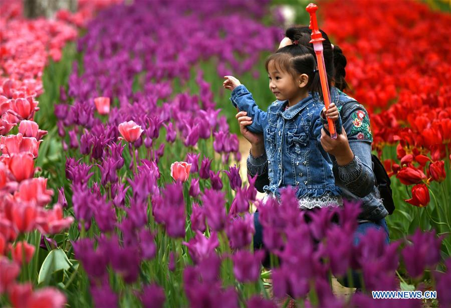 #CHINA-HEBEI-SPRING-FLOWERS(CN)
