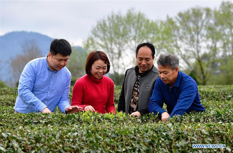 Xinhua Headlines: Technology counselors aid poverty alleviation 