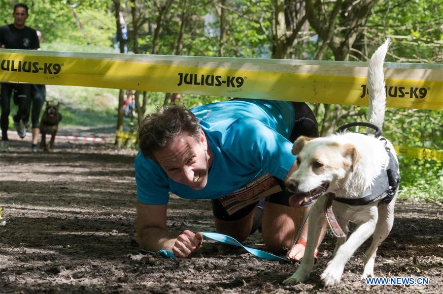 HUNGARY-NAGYMAROS-EXTREME DOG RACE 
