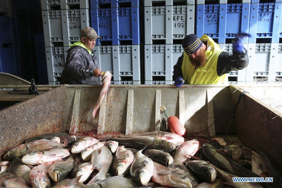 U.S.-KENTUCKY-WICKLIFFE-FISHERIES INDUSTRIAL PARK-OPENING