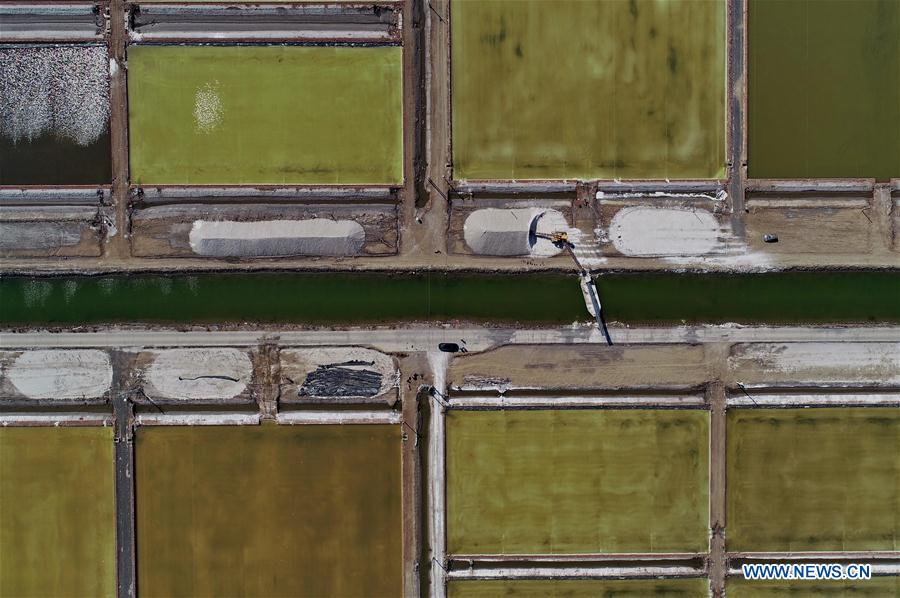 CHINA-HEBEI-TANGSHAN-SEA SALT (CN)