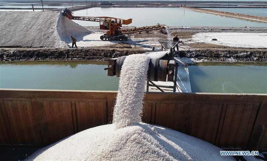 CHINA-HEBEI-TANGSHAN-SEA SALT (CN)