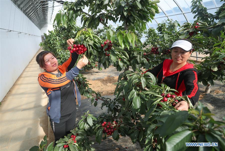 CHINA-LIAONING-VILLAGE-DEVELOPMENT (CN)