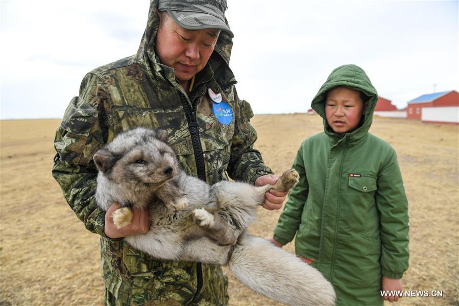 CHINA-INNER MONGOLIA-HULUN BUIR-WILDLIFE PROTECTOR (CN)