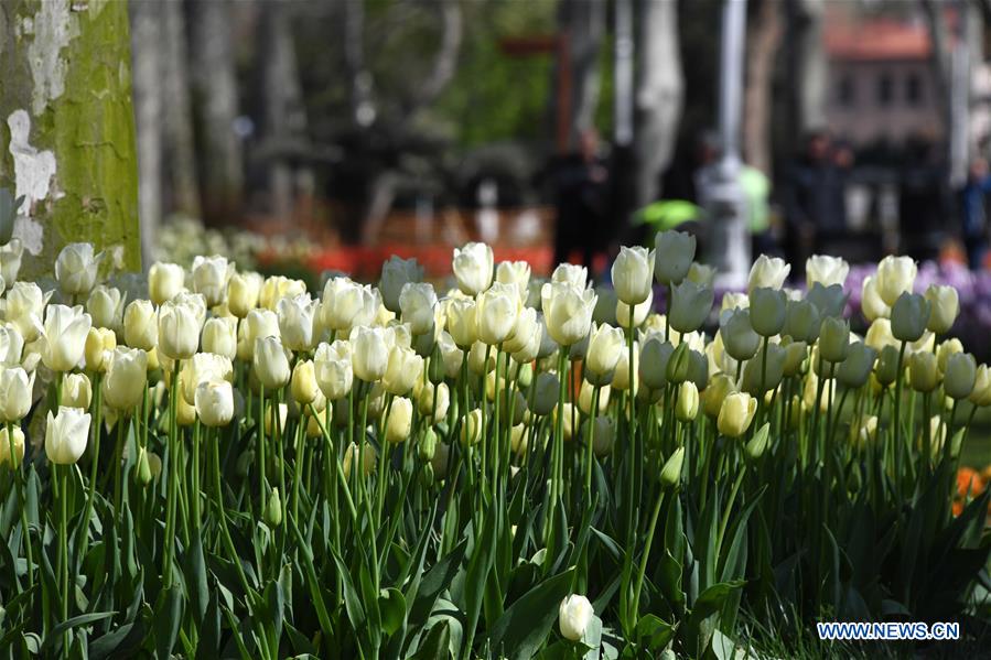 TURKEY-ISTANBUL-PARK