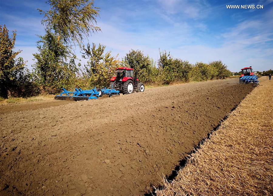 Xinhua Headlines: Thousands of years on, revival of two legendary cities on Silk Road
