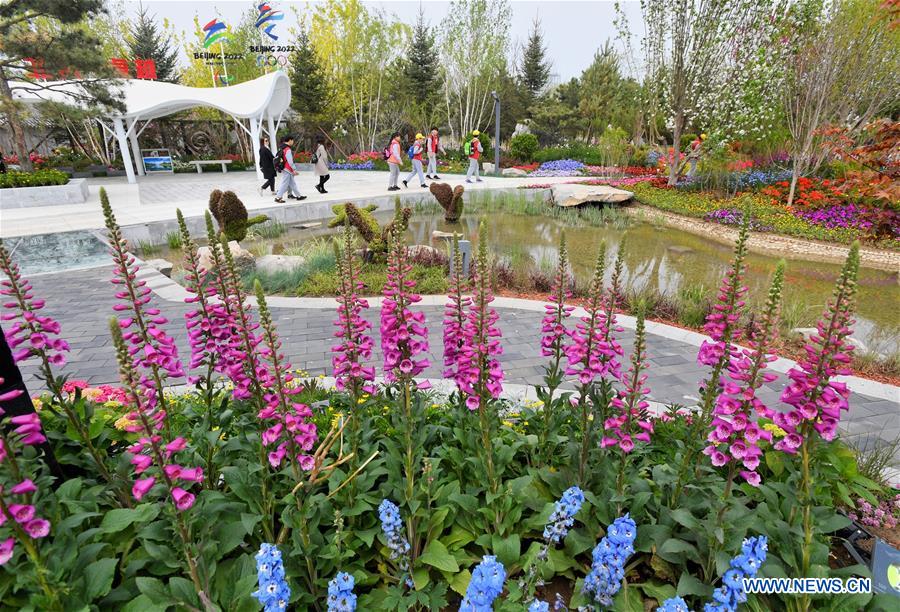 (EXPO 2019)CHINA-BEIJING-HORTICULTURAL EXPO-OPENING TO PUBLIC (CN)