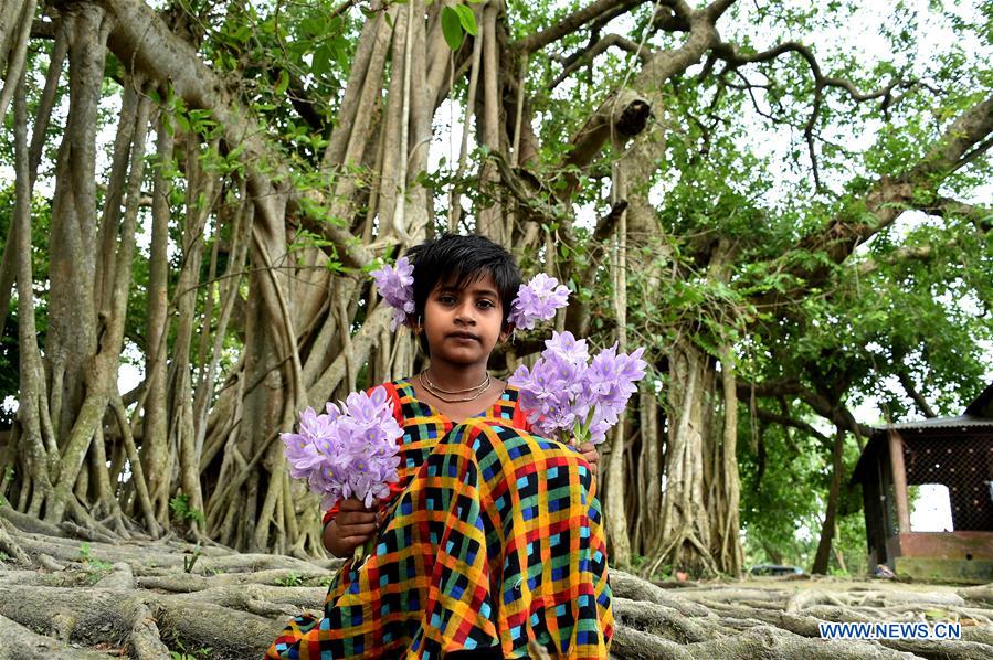 BANGLADESH-DHAKA-BANYAN TREE