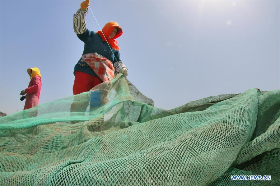 #CHINA-SUMMER FISHING MORATORIUM (CN)