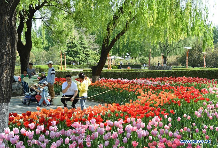 CHINA-LABOR DAY HOLIDAY-FLOWER (CN)