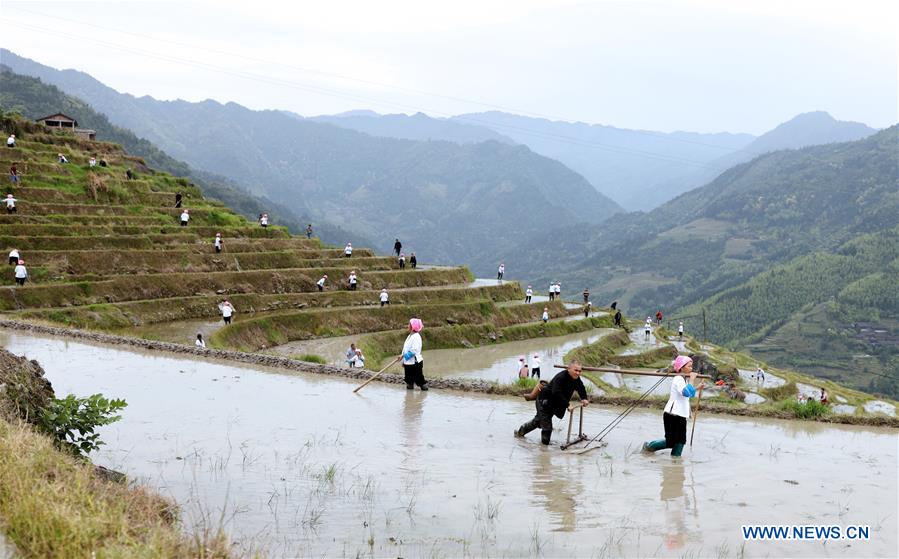 #CHINA-GUANGXI-TERRACED FIELD-FARMING (CN)