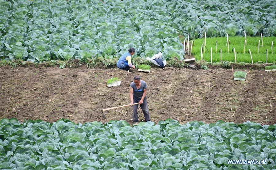 #CHINA-ECONOMY-FARMING (CN)