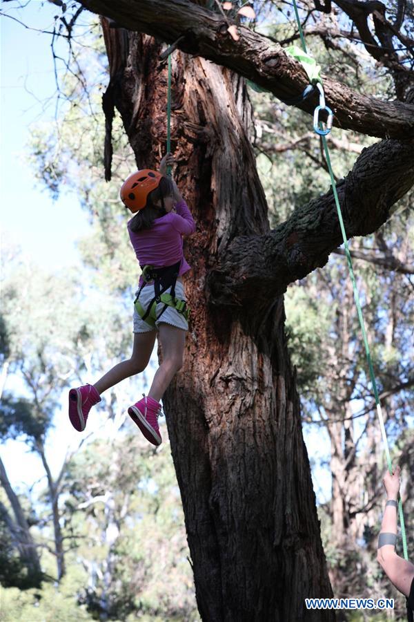 AUSTRALIA-CANBERRA-LEISURE-TREE CLIMBING
