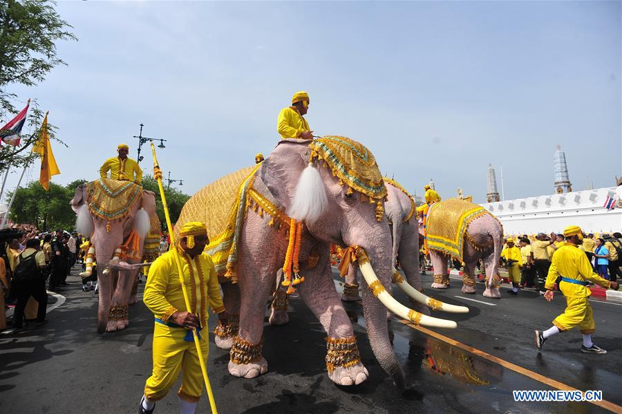 THAILAND-BANGKOK-CORONATION-ELEPHANTS-PARADE