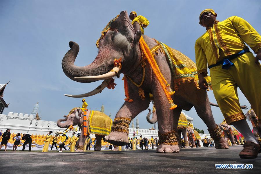 THAILAND-BANGKOK-CORONATION-ELEPHANTS-PARADE