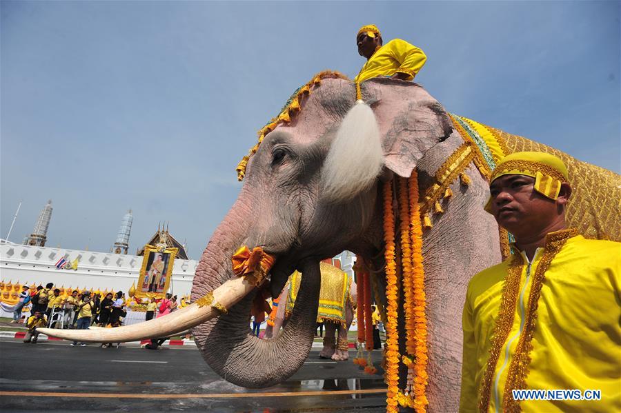 THAILAND-BANGKOK-CORONATION-ELEPHANTS-PARADE