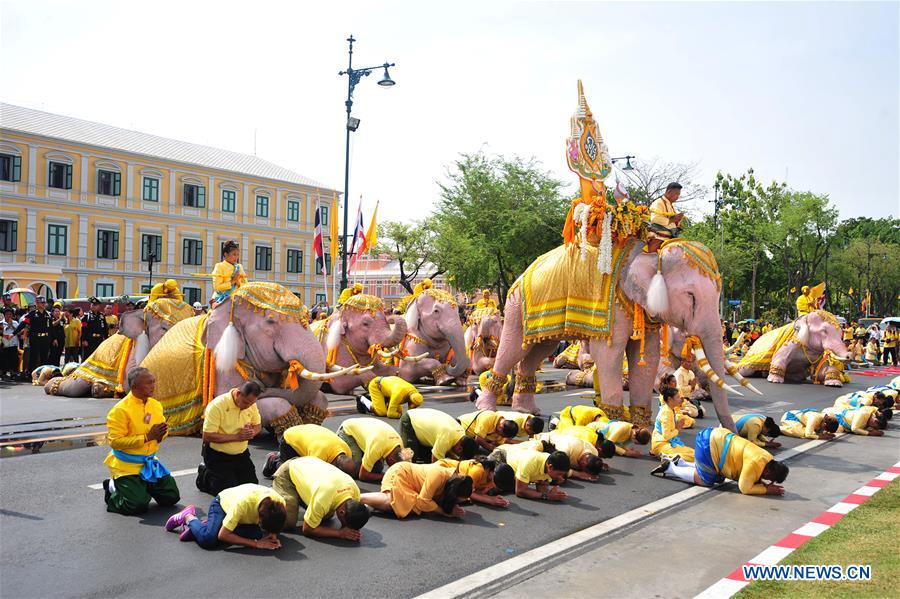 THAILAND-BANGKOK-CORONATION-ELEPHANTS-PARADE