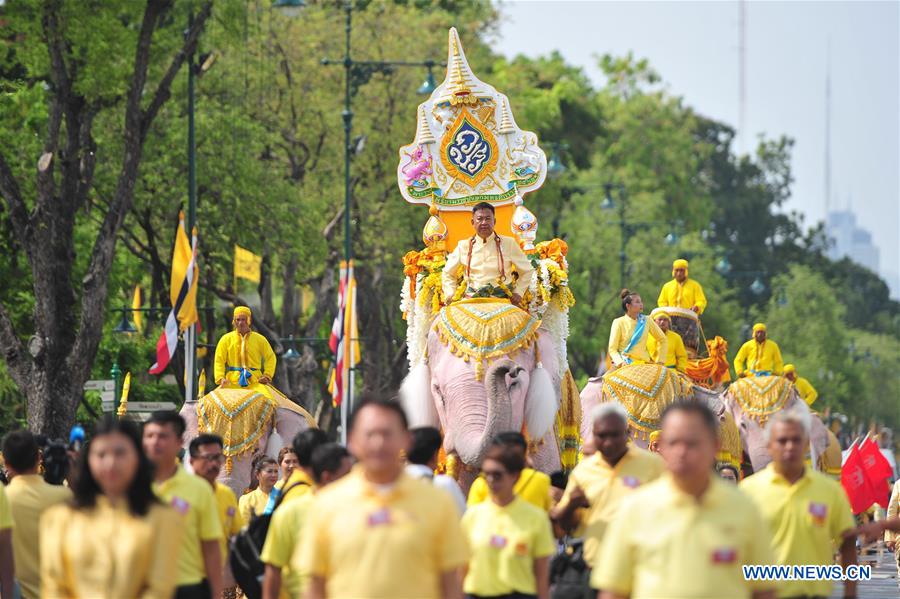 THAILAND-BANGKOK-CORONATION-ELEPHANTS-PARADE