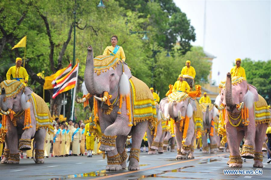 THAILAND-BANGKOK-CORONATION-ELEPHANTS-PARADE