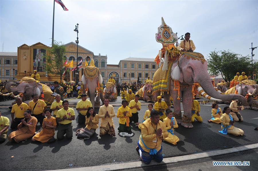 THAILAND-BANGKOK-CORONATION-ELEPHANTS-PARADE