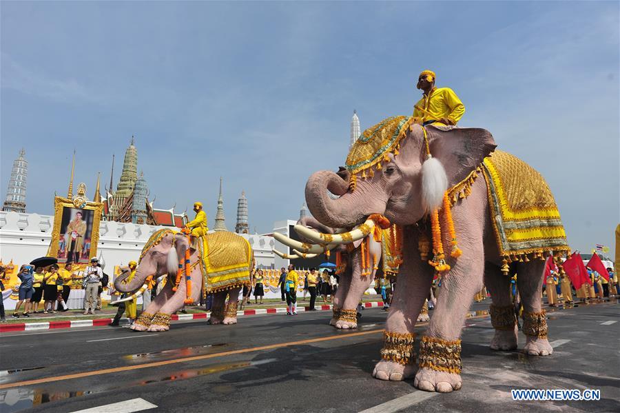 THAILAND-BANGKOK-CORONATION-ELEPHANTS-PARADE