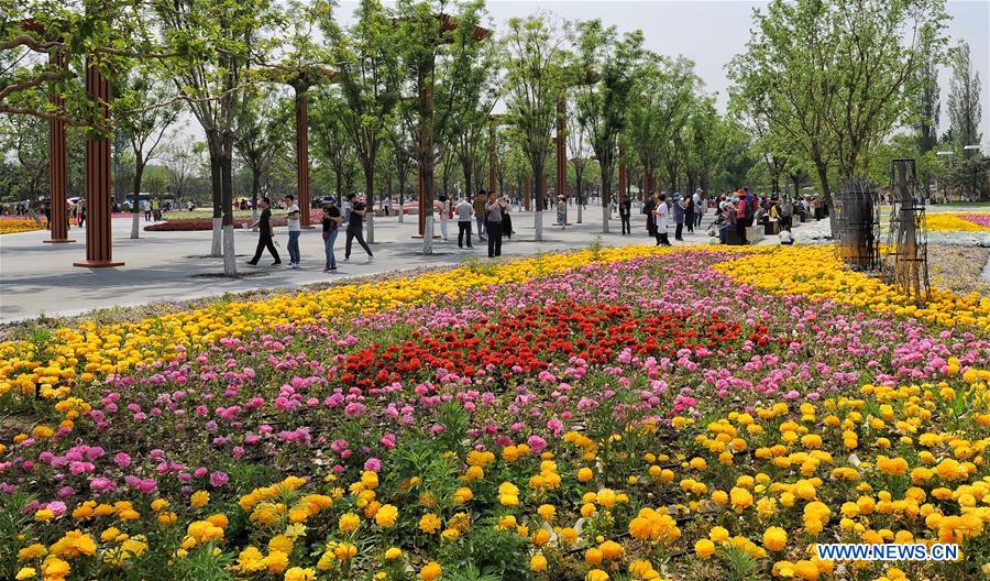 CHINA-BEIJING-HORTICULTURAL EXPO-TOURISM (CN)