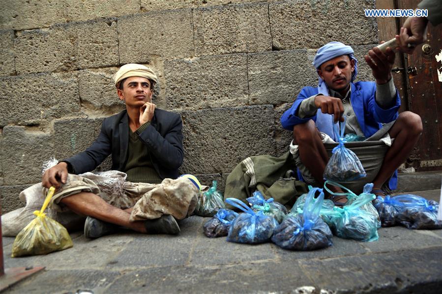 YEMEN-SANAA-LOCUSTS-THREAT