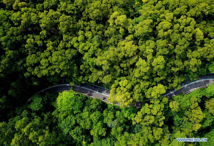 CHINA-FUJIAN-FUZHOU-GREEN WALKWAY (CN)