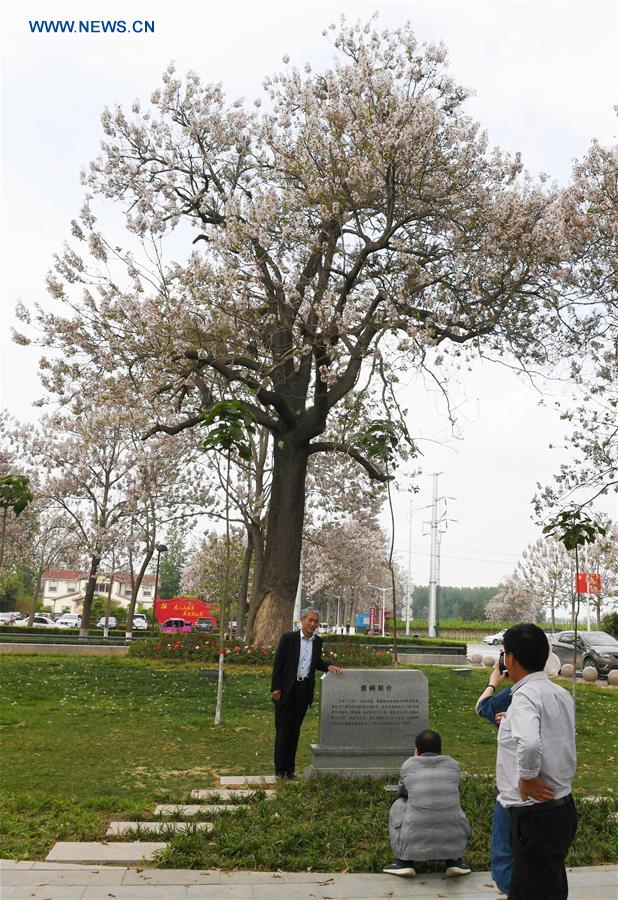 CHINA-HENAN-LANKAO-DEVELOPMENT (CN)