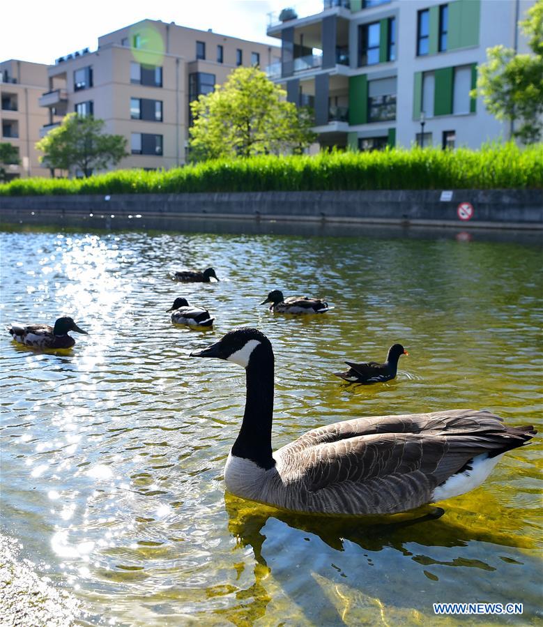 GERMANY-ESSEN-GREEN TRANSITION