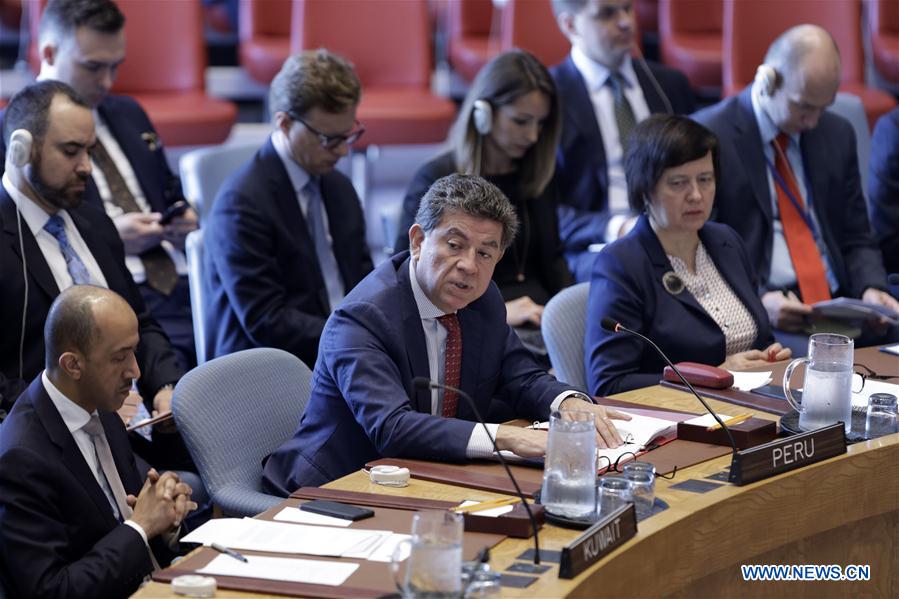 UN-SECURITY COUNCIL-YEMEN