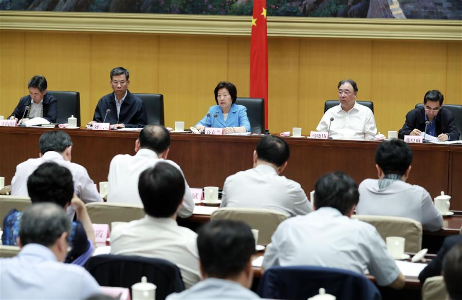 CHINA-BEIJING-SUN CHUNLAN-MEETING (CN)