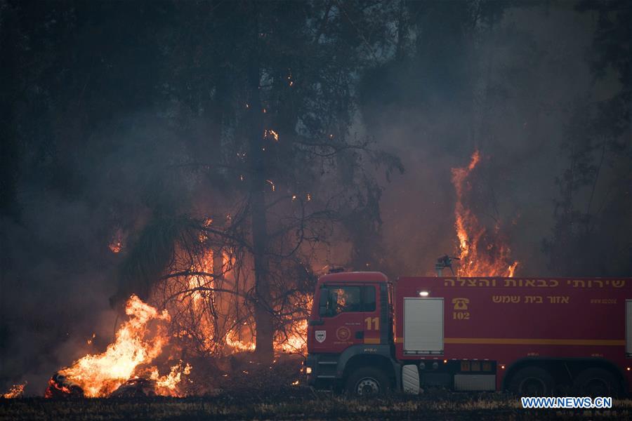 ISRAEL-KIBBUTZ HAREL-FOREST FIRE