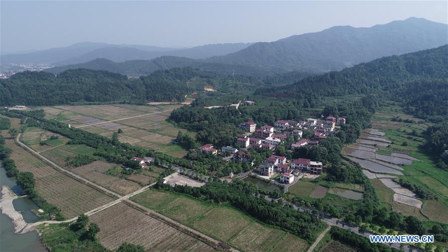 Xinhua Headlines: A glimpse of rural revitalization in east China
