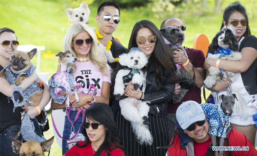 CANADA-TORONTO-WOOFSTOCK-FESTIVAL FOR DOGS