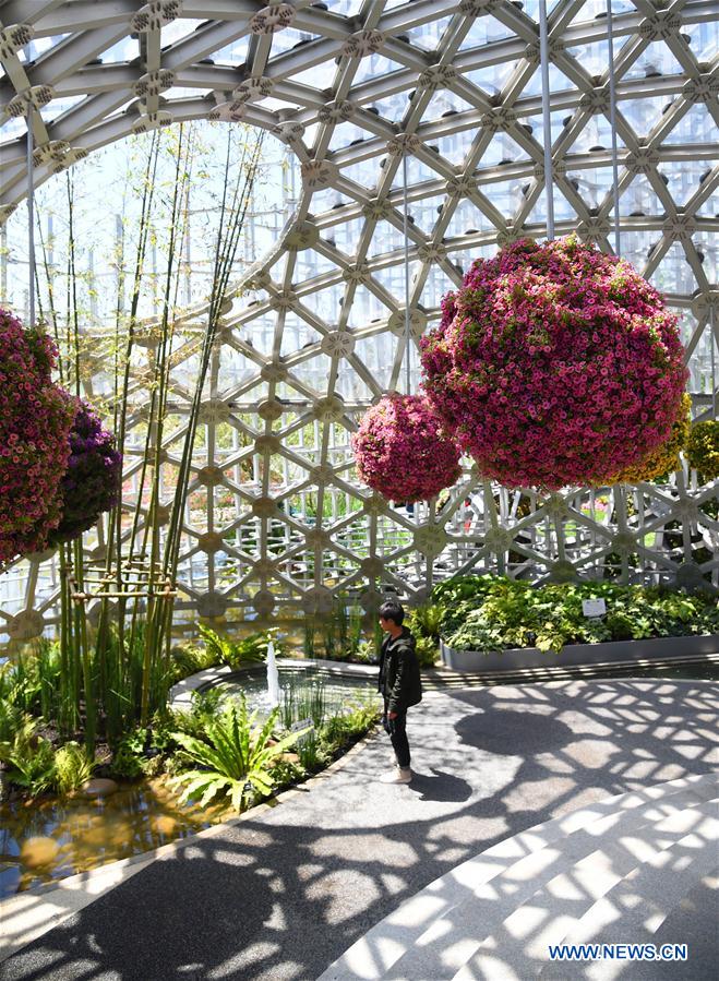 CHINA-BEIJING-HORTICULTURAL EXPO-SHANGHAI DAY(CN)