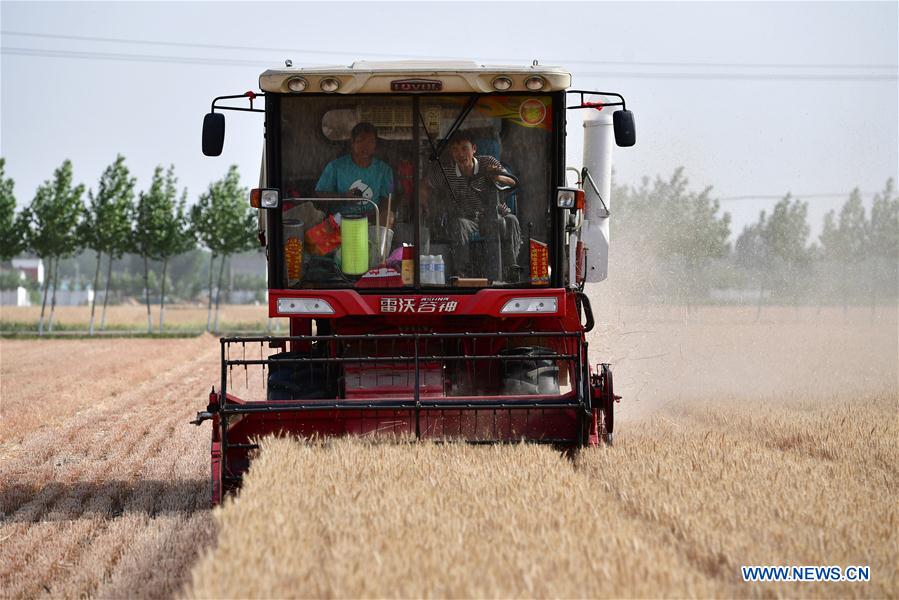 CHINA-HENAN-WHEAT-HARVEST (CN)