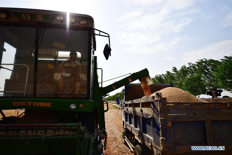 CHINA-HENAN-WHEAT-HARVEST (CN)