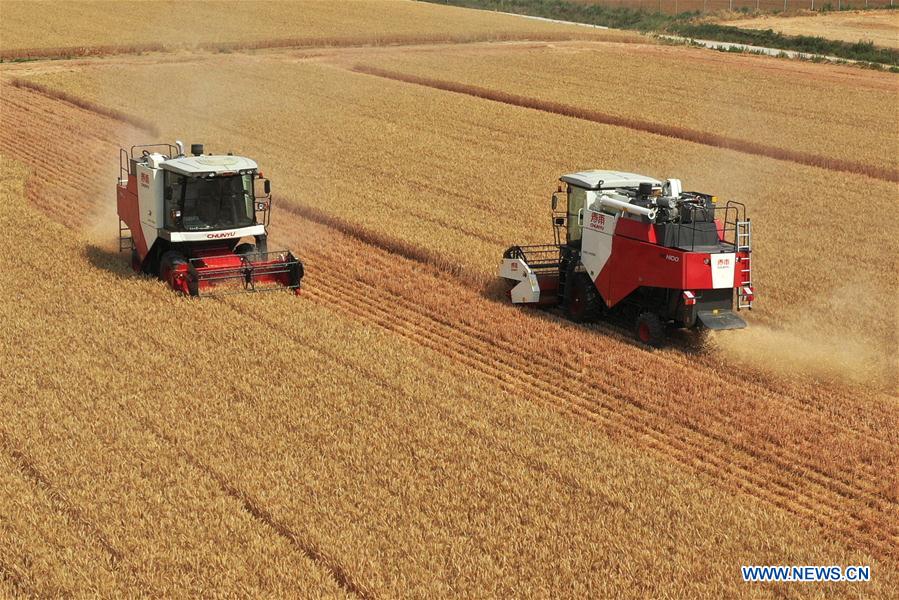 CHINA-HENAN-WHEAT-HARVEST (CN)