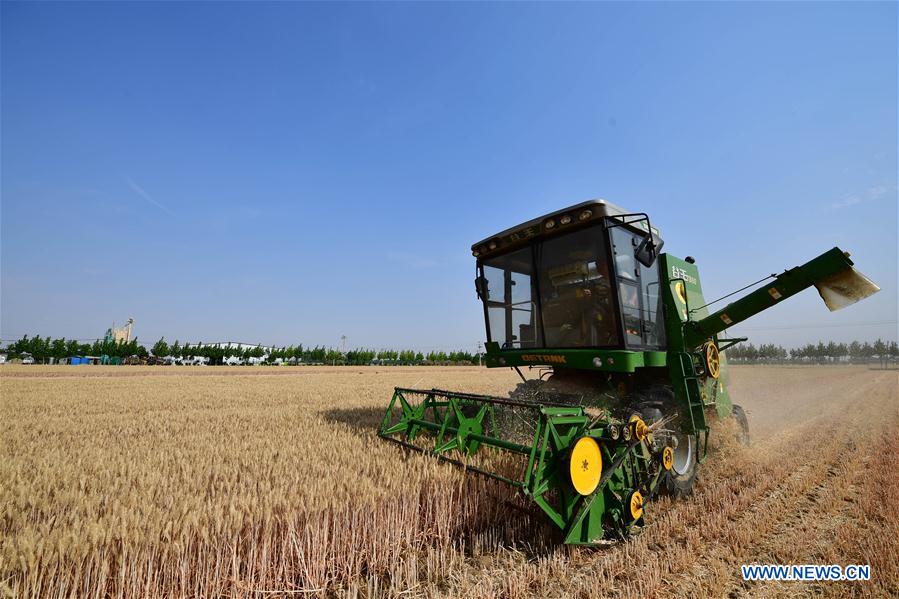 CHINA-HENAN-WHEAT-HARVEST (CN)