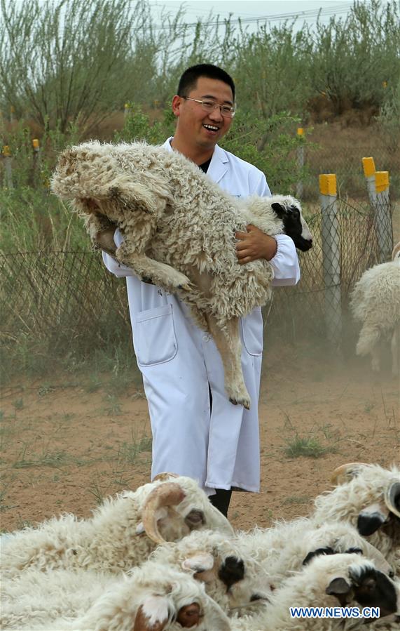 CHINA-NINGXIA-YANCHI-GRADUATE-SHEEP RAISING (CN)